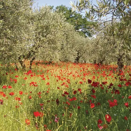 Impasse Des Alpilles *